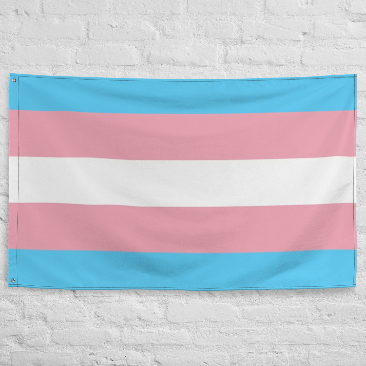 Transgender Flag